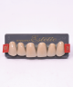 WIEDENT ESTETIC UPPER ANTERIORS SHADE D3