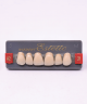 WIEDENT ESTETIC UPPER ANTERIORS SHADE A2