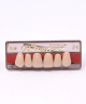 WIEDENT ESTETIC UPPER ANTERIORS SHADE C2