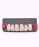 WIEDENT ESTETIC UPPER ANTERIORS SHADE A1