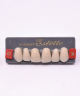 WIEDENT ESTETIC UPPER ANTERIORS SHADE C1