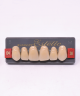 WIEDENT ESTETIC UPPER ANTERIORS SHADE D4