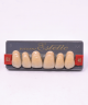 WIEDENT ESTETIC UPPER ANTERIORS SHADE B3