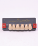 WIEDENT ESTETIC UPPER ANTERIORS SHADE A2