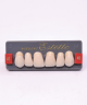 WIEDENT ESTETIC UPPER ANTERIORS SHADE A1