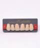 WIEDENT ESTETIC UPPER ANTERIORS SHADE A2