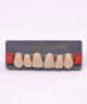 WIEDENT ESTETIC UPPER ANTERIORS SHADE C3