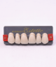 WIEDENT ESTETIC UPPER ANTERIORS SHADE B1