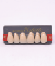 WIEDENT ESTETIC UPPER ANTERIORS SHADE B2