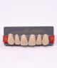 WIEDENT ESTETIC UPPER ANTERIORS SHADE C2