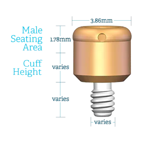 DIMENSIONAL SPECIFICATIONS 1