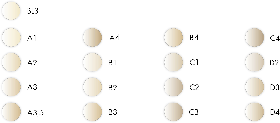 Combo.Lign Luting Composite